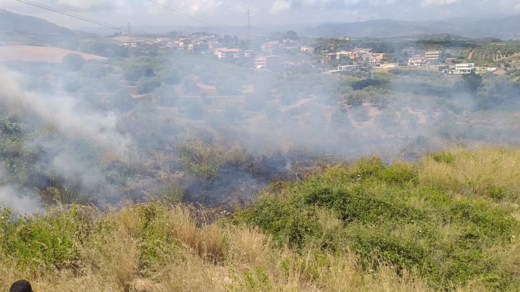 incendio-forestale-2019-1-1024x576 Terme Vigliatore, la Forestale domano i roghi in contrada Pizzicarì e Rocche di Marro