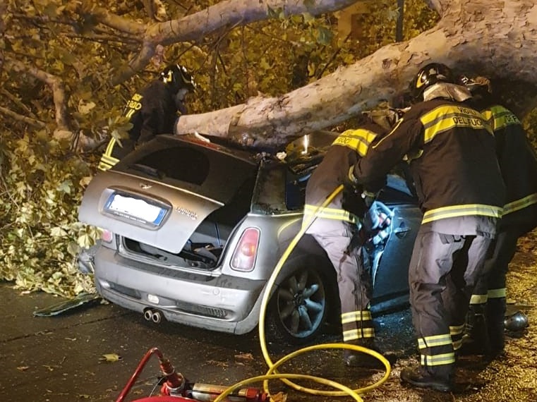 WhatsApp-Image-2019-11-13-at-03.04.05-2_LI A Novara di Sicilia il vento ad oltre 187 km/h scoperchia la tensostruttura