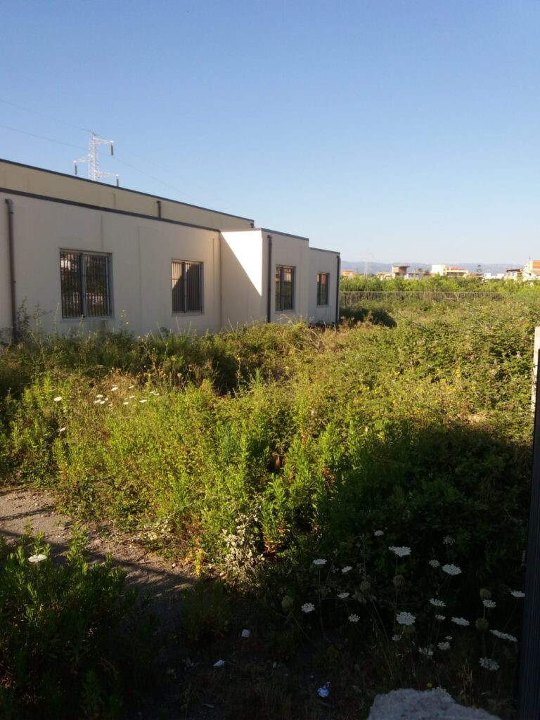 WhatsApp-Image-2020-06-30-at-11.23.20-1-768x1024 Barcellona, vegetazione spontanea ed incuria nella dismessa scuola in via Cambria