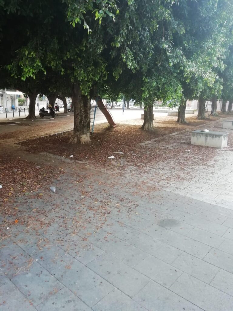 WhatsApp-Image-2020-07-10-at-16.33.13-768x1024 Barcellona, degrado in piazza Convento a Sant’Antonino. La segnalazione di Vox Italia