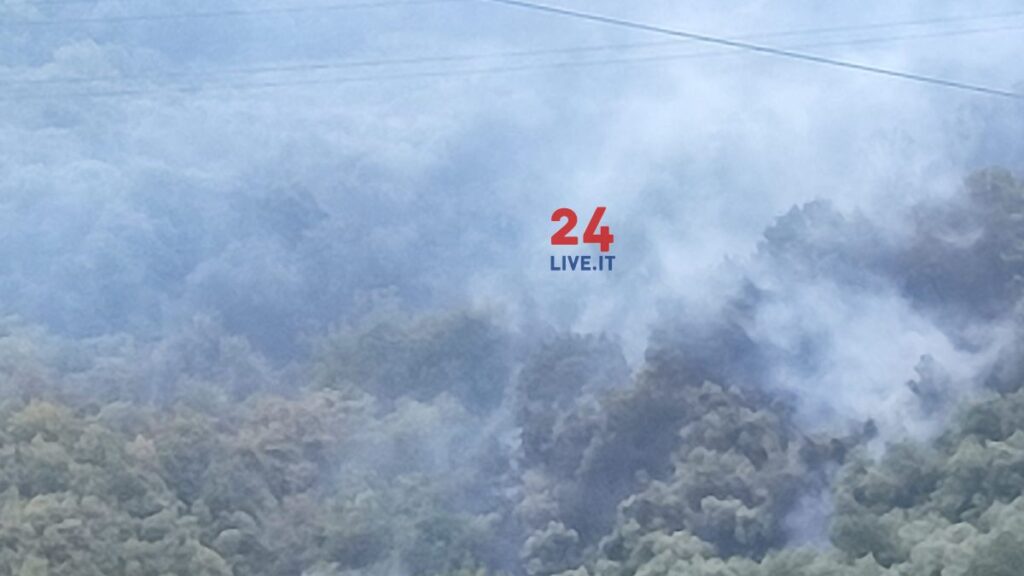 24LIVE-EVIDENZA-incendio-femminamorte-barcellona1--1024x576 Incendi sulle colline di Barcellona, ettari di terreno continuano a bruciare anche nella zona di Femminamorta