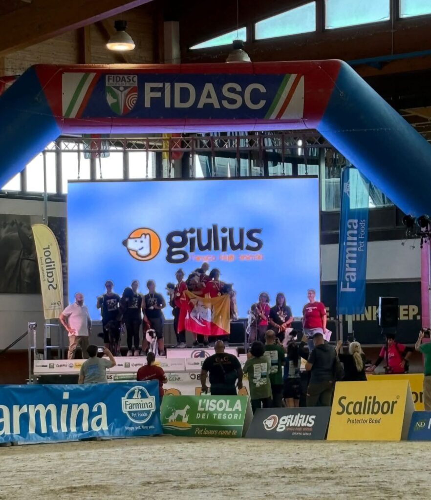 Grand-Prix-Enasc-4-882x1024 Barcellona protagonista nella cinofilia al Grand Prix Fidasc