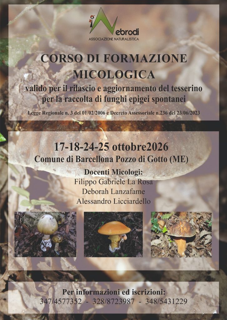 Corso-formazione-mitologica-727x1024 Barcellona, l'Associazione "I Nebrodi" organizza un corso di formazione micologica