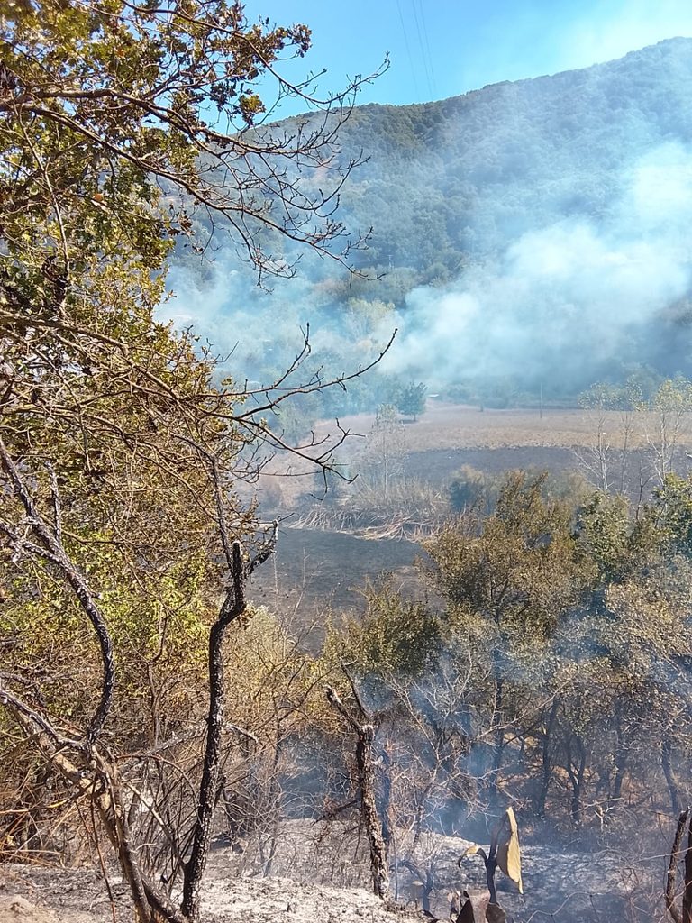 WhatsApp-Image-2026-09-17-at-13.40.37-768x1024-1 Barcellona: vasto incendio a Migliardo a ridosso delle abitazioni