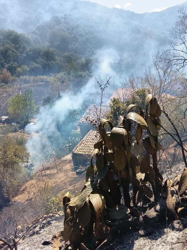 WhatsApp-Image-2026-09-17-at-13.40.57-768x1024 Barcellona: vasto incendio a Migliardo a ridosso delle abitazioni
