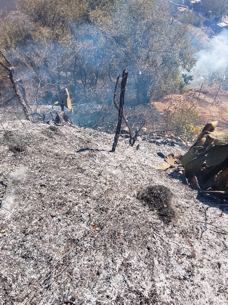 WhatsApp-Image-2026-09-17-at-13.41.05-768x1024 Barcellona: vasto incendio a Migliardo a ridosso delle abitazioni