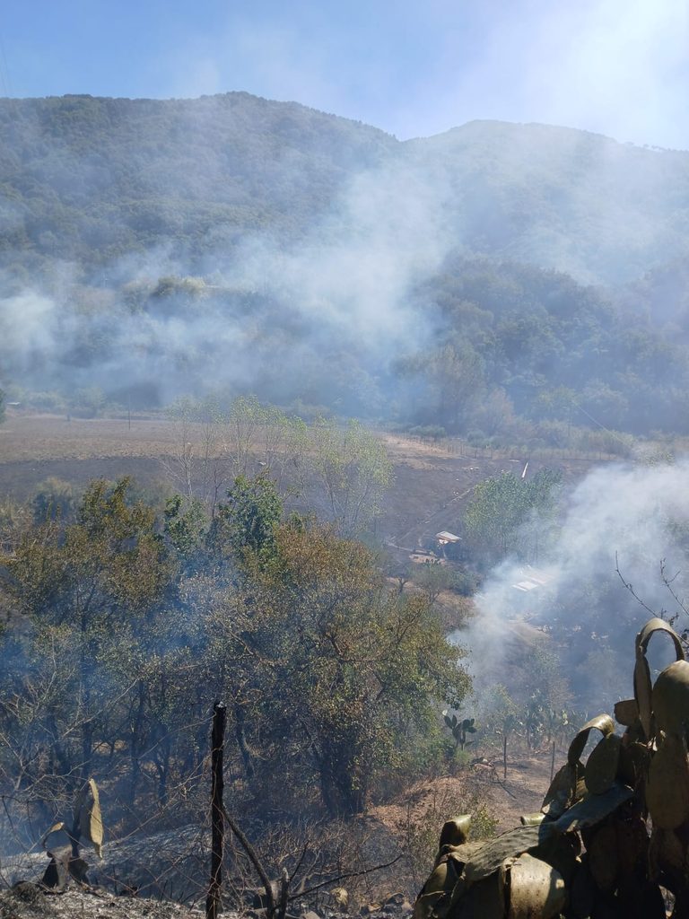 WhatsApp-Image-2026-09-17-at-13.41.15-768x1024-1 Barcellona: vasto incendio a Migliardo a ridosso delle abitazioni