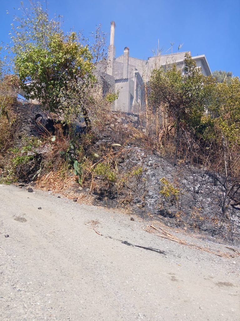 WhatsApp-Image-2026-09-17-at-13.41.151-768x1024-1 Barcellona: vasto incendio a Migliardo a ridosso delle abitazioni