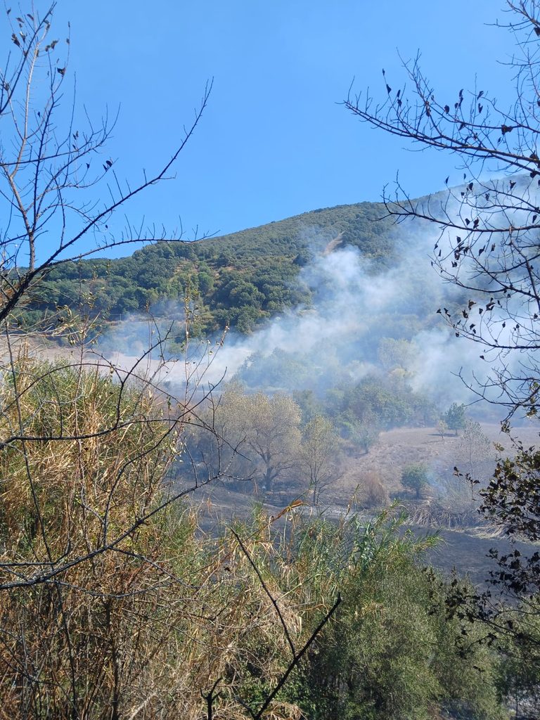 WhatsApp-Image-2026-09-17-at-13.41.1512-768x1024-1 Barcellona: vasto incendio a Migliardo a ridosso delle abitazioni